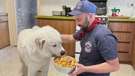 Family reunited with allegedly stolen dog