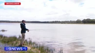 $10,000 on offer to catch certain fish in bid to revitalise state