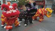 Lobster to lion dancers: How Australians plan to ring in the Lunar New Year