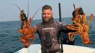 Diver recalls terrifying 15 minutes being circled by great white shark