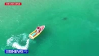 Three-metre shark spotted where man was mauled south of Adelaide