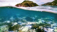 The Great Barrier Reef is facing 'catastrophic' risks – don't despair