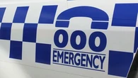 Man charged over alleged assaults, dog kicking, in NSW