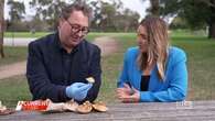 Wild mushroom foragers warned as they turn to social media to identify their picks