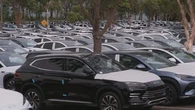 Adventure park battles council over storing BYD EVs during off-season
