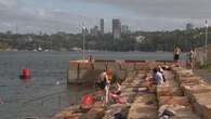 Sydney water testing reveals bacteria-ridden particle polluting ocean pools