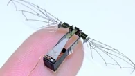 Tiny drones with fluttering wings developed by US Air Force