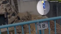 Two Americans arrested after costumed man entered enclosure of viral Japanese monkey