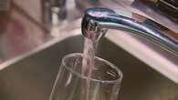 High levels of forever chemicals sparks calls to reassess drinking water guidelines in Australia