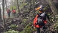 Missing bushwalker rescued after near-24-hour search in NSW