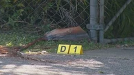 Man, 35, shot in the leg in 'targeted' attack