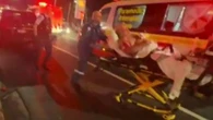 Man charged after allegedly stabbing diners in attempted armed robbery