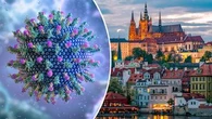 Hepatitis A outbreak in several European countries