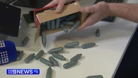 No fines issued in six months of country's 'toughest' anti-nangs laws