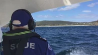 Search for hang-glider missing in waters off NSW coast