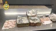 Traveller fined thousands over ﻿pigeon eggs at Melbourne Airport