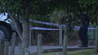 Man shot dead by police in Queensland in alleged DV incident
