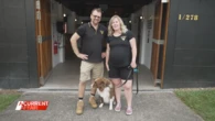 Canine crusaders' fight for dog-friendly brewhouse