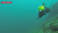 Underwater drones finally deployed to see damage caused by toxic algae