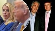 Donald Trump told his name was in Epstein files: reports