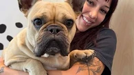 Why we're seeing the rise of pet parents across Australian suburbs