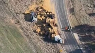 School bus carrying special needs children crashes in Victoria