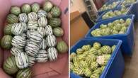 More than 2,000kg of meth disguised as watermelons seized at US border