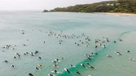 Surfers paddle-out in protest as delegates decide whether to open deep sea to mining