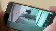 Cat camera captures two thieves ransacking home