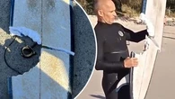 'Universe had different plans': Surfer who escaped shark shares update