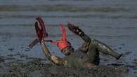 Mud-covered Carnival revellers are a strange sight in sleepy Brazilian town