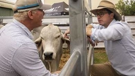 Nationals say agriculture minister did not consult scientific advisory group on US beef ban