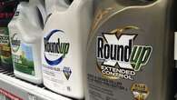 Decision looms in landmark cancer class action against weed killer