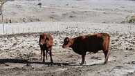 Where 'day-zero droughts' could happen as soon as this decade