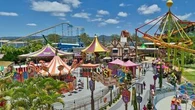 Koala habitat to be removed under proposed Dreamworld expansion plans