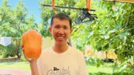 Backpacker pleads guilty over e-scooter crash that killed Perth dad