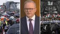 Albanese says 100,000-strong pro-Palestine protest 'not surprising'
