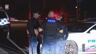 Girl, three, killed after being struck by ute
