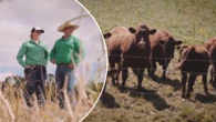 Why more Australians are buying their groceries direct from farmers