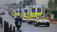 French hantavirus patient is critically ill and on an artificial lung