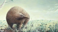 Scientists identify giant echidna from fossil hiding for decades
