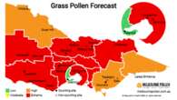 Victorians warned to brace for extreme pollen levels