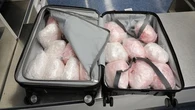 US teen charged over alleged $24 million discovery in suitcases