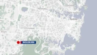 Stray cat feeders assaulted, knocked unconscious in Western Sydney