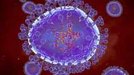 Human metapneumovirus: should we be worried about it?