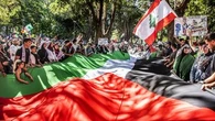 Police take pro-Palestine group to court over 'significant risk' of Harbour Bridge protest