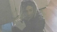 Woman accused of stealing wigs bound for child cancer patients