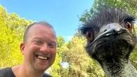 Why a Sunshine Coast rescue emu has feathers flying