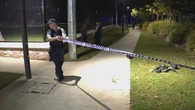 Teenager arrested over stabbing spree at city park