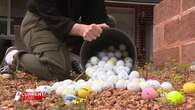 Wayward golf balls wreaking havoc on residents in picturesque Perth suburb